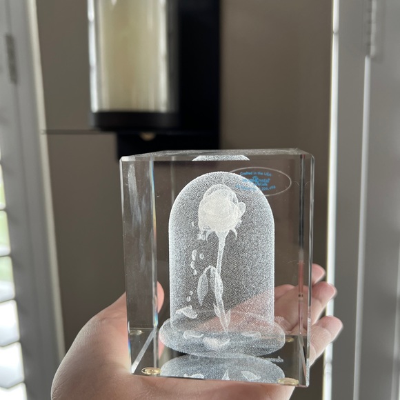 Crystal Rose in case Disney beauty and the beast image - Picture 2 of 10